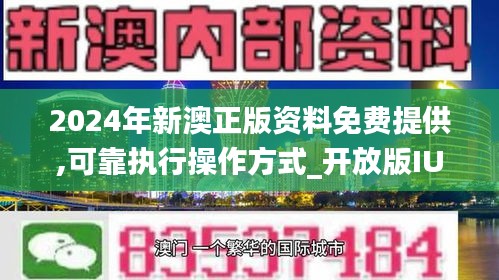 新澳2024正版资料免费公开,新兴技术推进策略_KP62.373