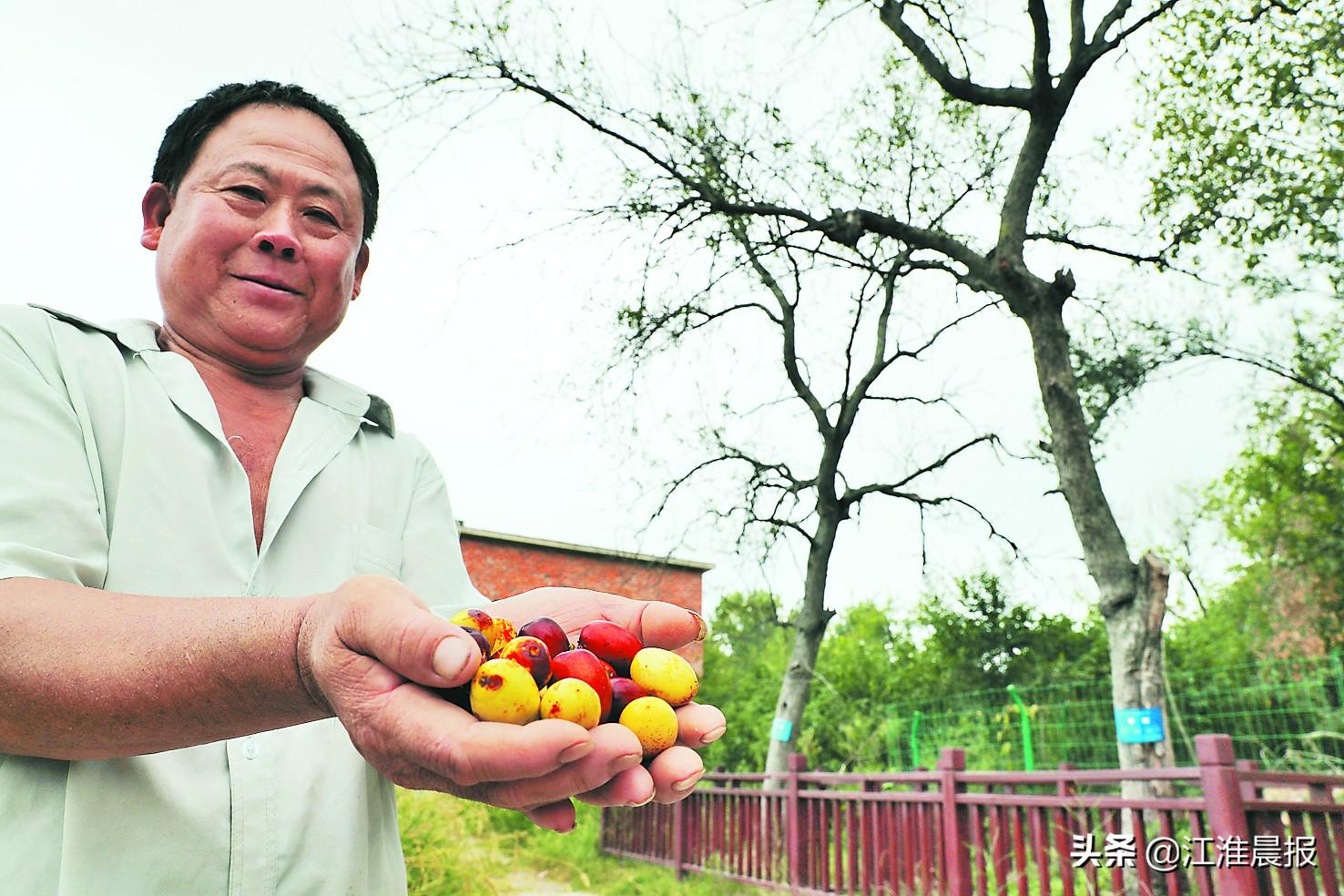 肥东县众兴乡最新动态概况